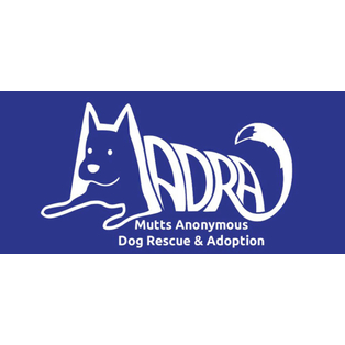 Winner Supplied Image - MADRA - Mutts Anonymous Dog Rescue & Adoption